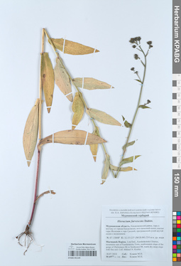 KPABG051145