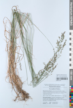KPABG051148