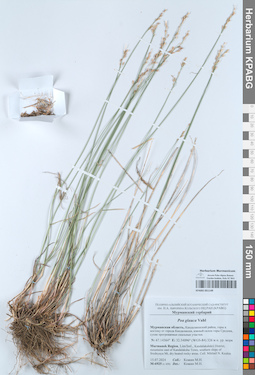 KPABG051149