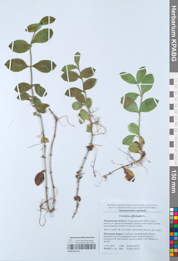KPABG051153
