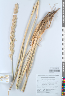KPABG051154