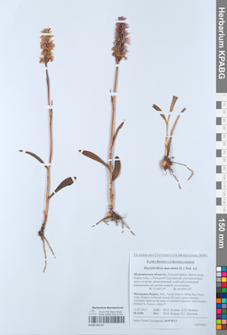 KPABG051157