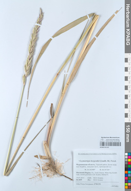 KPABG051162