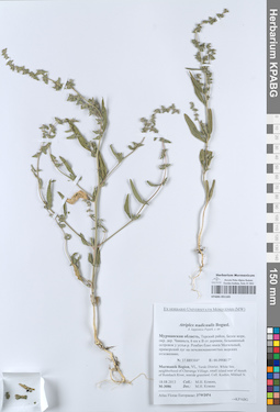 KPABG051165