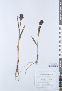 KPABG051170