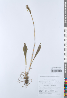 KPABG051174
