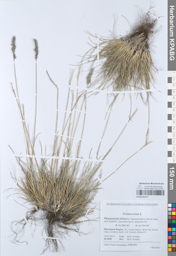 KPABG051177