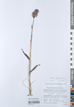 KPABG051180