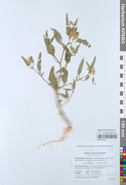 KPABG051183