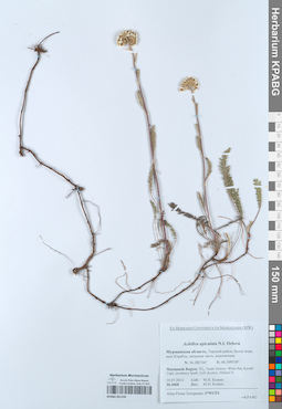 KPABG051194