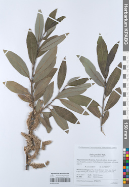 KPABG051206