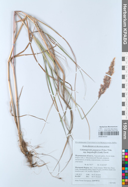 KPABG051215