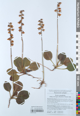 KPABG051230