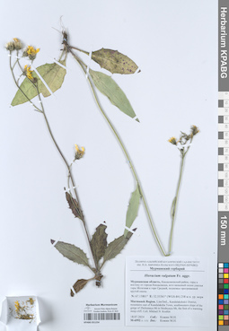 KPABG051234