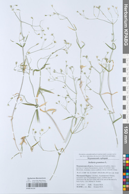KPABG051235