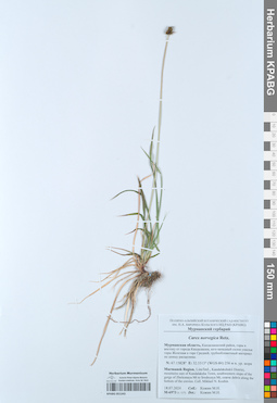 KPABG051243