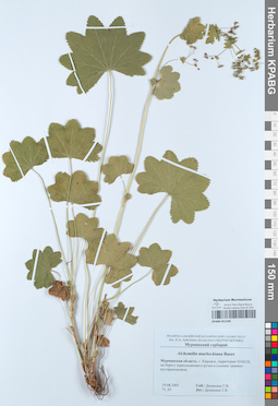 KPABG051248