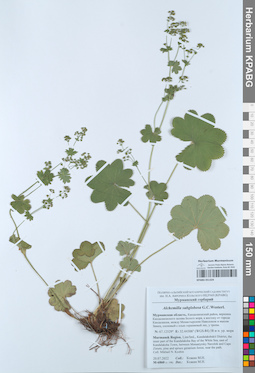 KPABG051324