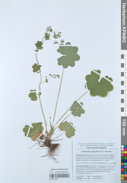 KPABG051325