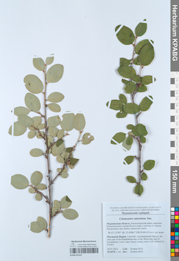KPABG051327