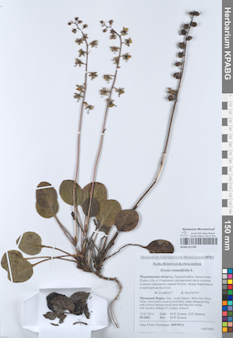 KPABG051338