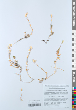KPABG051351