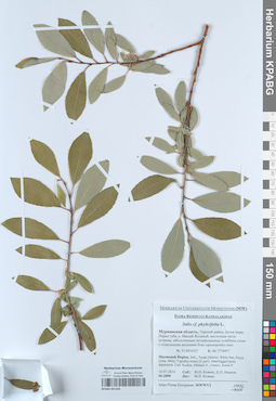 KPABG051359
