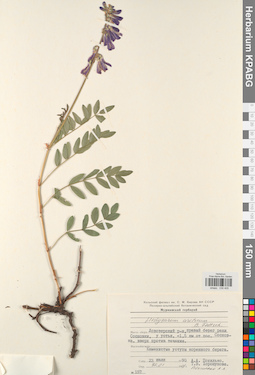 KPABG030405