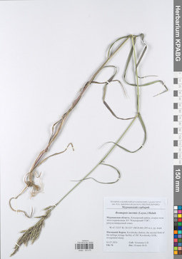 KPABG050072