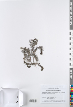 KPABG050078