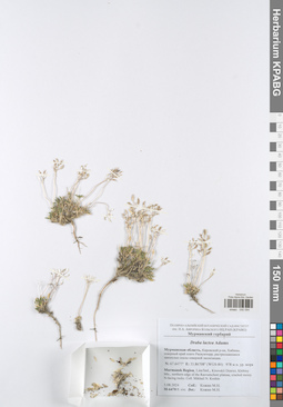 KPABG050094
