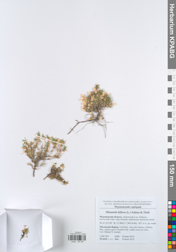 KPABG050095