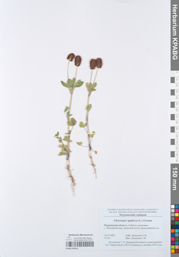 KPABG050133