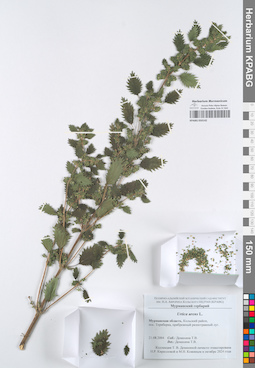 KPABG050142