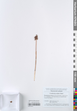 KPABG050151