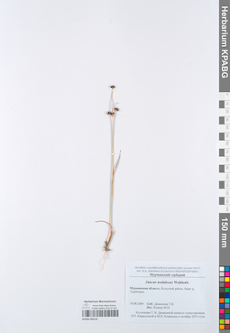 KPABG050155