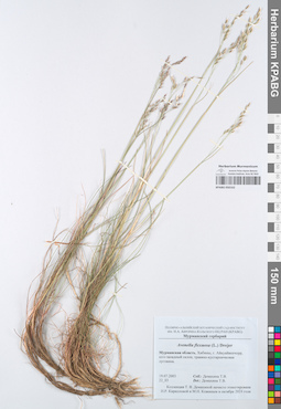 KPABG050162