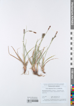 KPABG050164