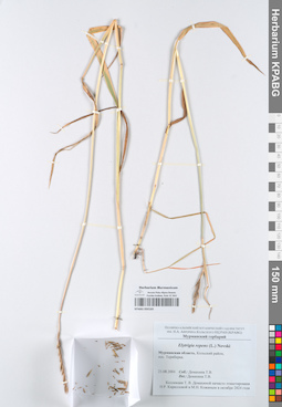 KPABG050165