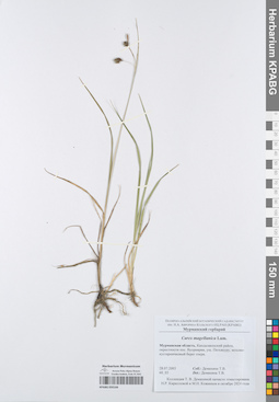 KPABG050166