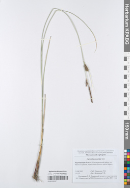 KPABG050167