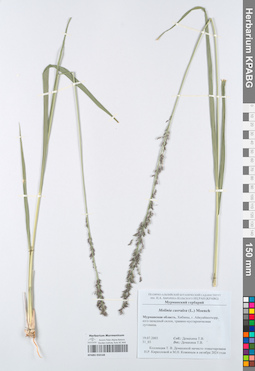KPABG050168