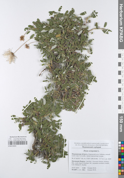 KPABG050201