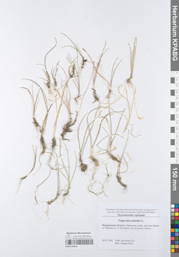 KPABG050224