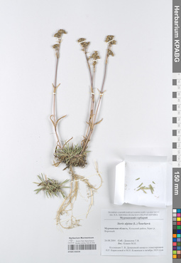KPABG050228