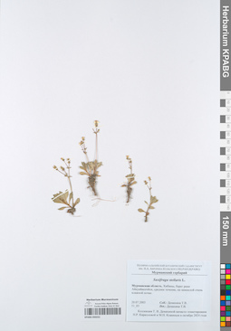 KPABG050231