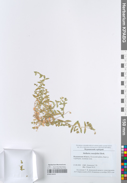 KPABG050235