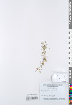 KPABG050240