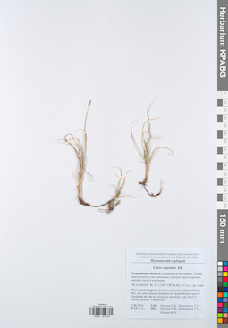KPABG047470