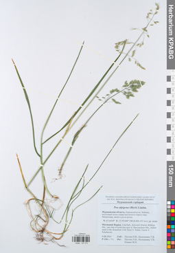 KPABG047474
